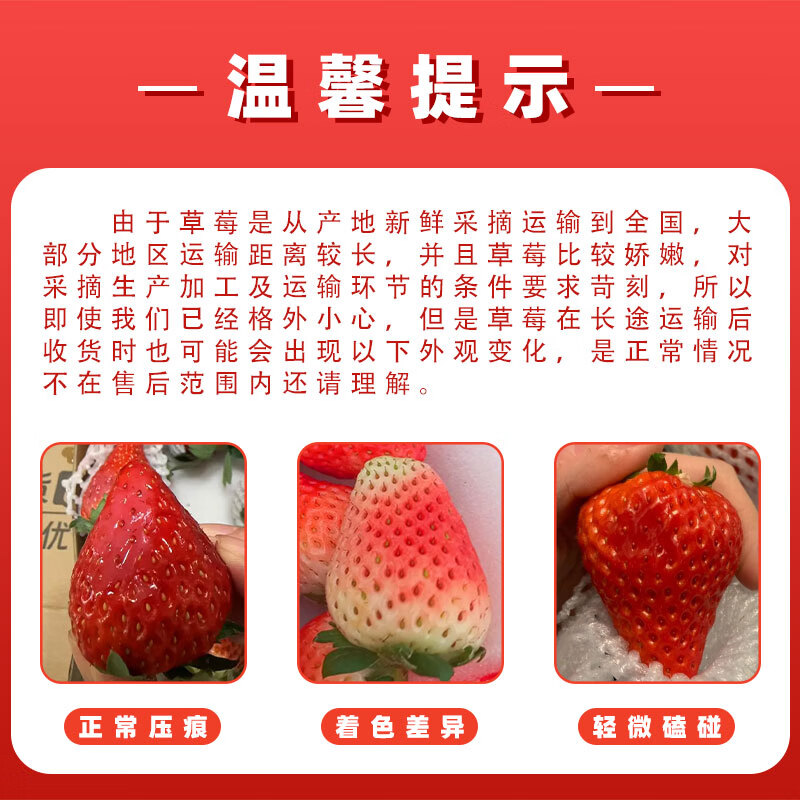 中果农茂丹东草莓【JD/顺丰-多地次日达】新鲜现摘草莓99红颜奶油大草莓 2斤装-【单果10-15g】净重1.8斤-京东快递