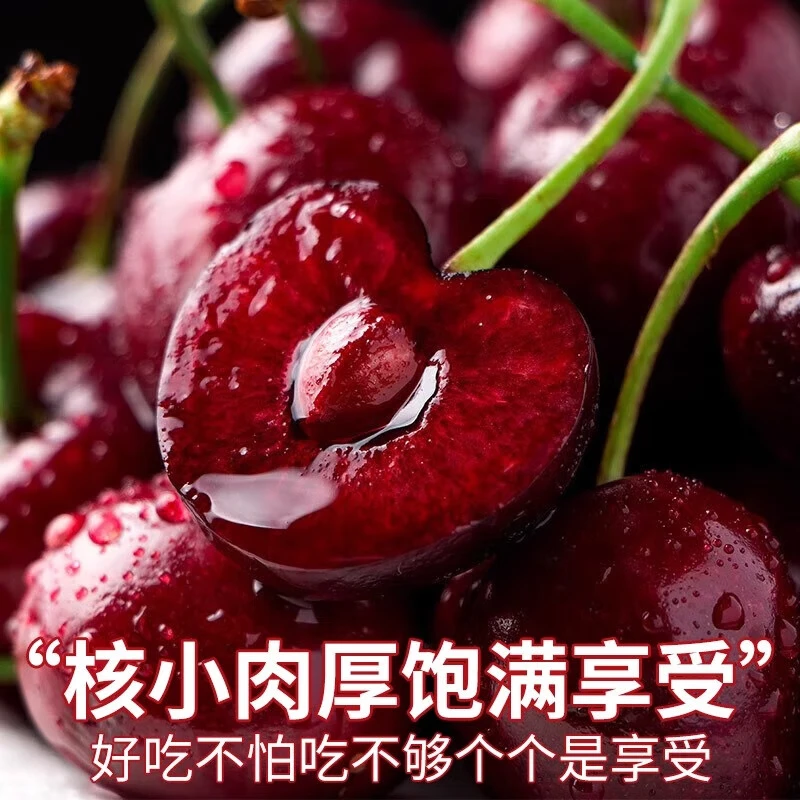榴某某智利车厘子进口水果【JD/顺丰多地次日达】樱桃原箱送礼车厘子 4.5斤(净重) 【家庭分享装】高端礼盒 精选超大果 2J 28-30mm