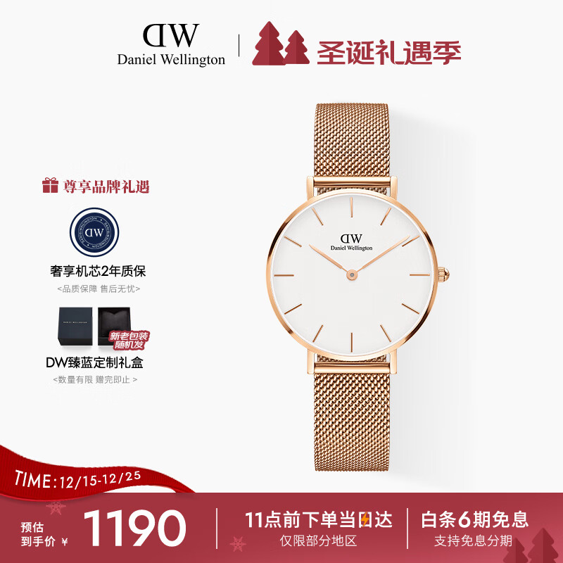 丹尼尔惠灵顿（DanielWellington）DW手表女表 简约女士手表 时尚欧美表送女友节日礼物DW00100163