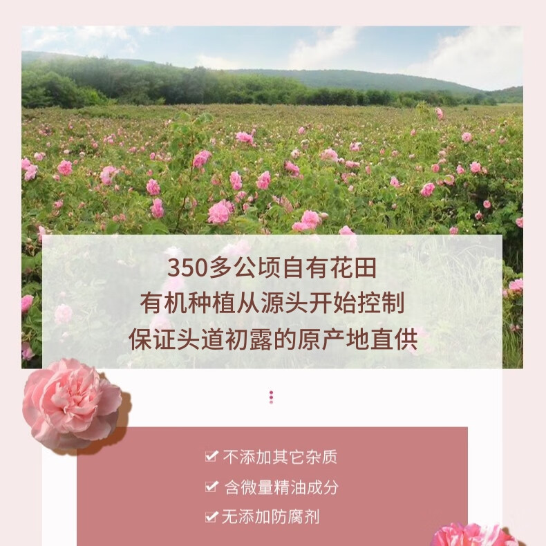 芳香世家大马士革玫瑰精华油+玫瑰纯露 面部护肤抗皱紧致保湿焕亮新年礼物 保加利亚玫瑰纯露玫瑰水保湿水500ml