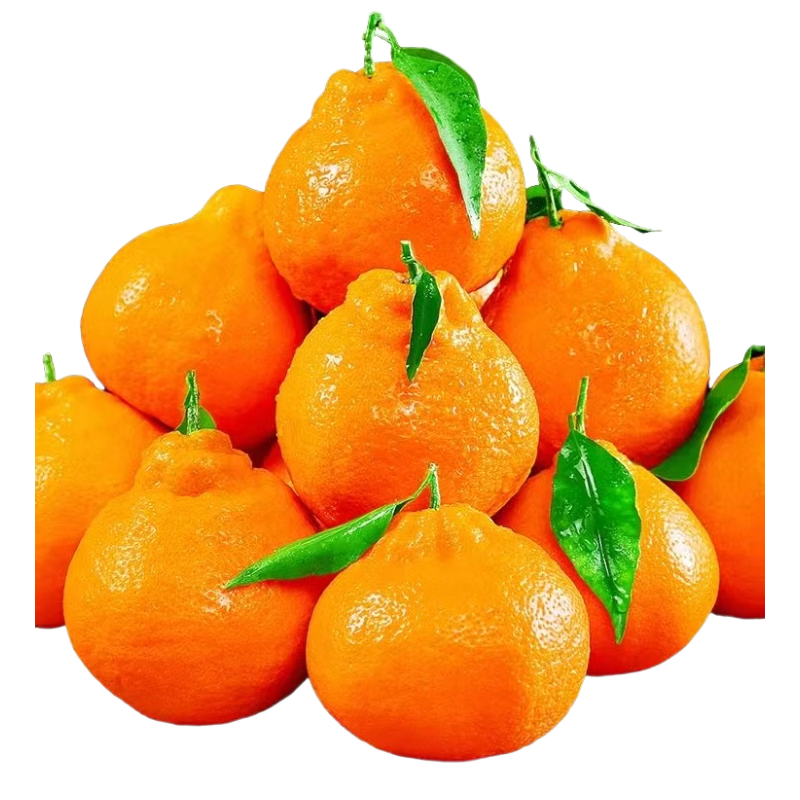 �����Ĵ������ҰҸ� 4.5�� ����70mm+ ���θ̸�������ˮ�� Դͷֱ�� 19.8Ԫ(����ȯ)