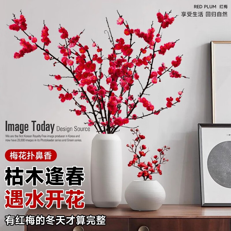 红梅干枝水培带花苞鲜花卉植物室内水养腊梅鲜切绿植盆栽 10支