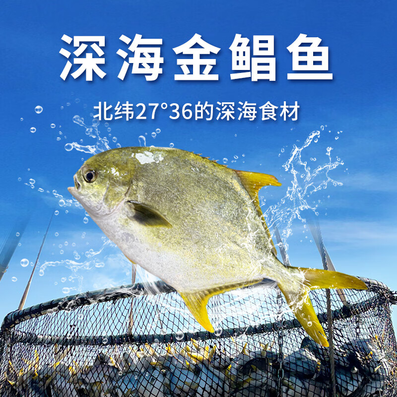 超低温急冻金鲳鱼新鲜深海捕捞400-500g/条，共5条