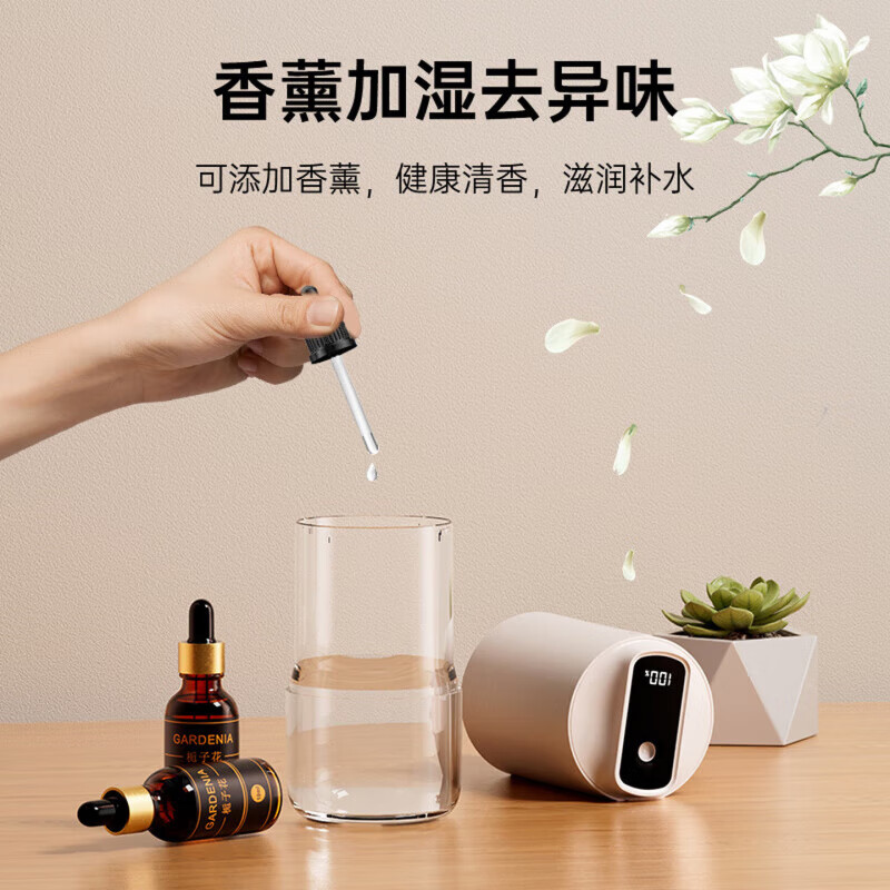 AILUKI【法国】加湿器迷你卧室桌面家用小型办公室车载静音空气加湿净化 活力橙-充电款 80mL/h 【无菌健康加湿】