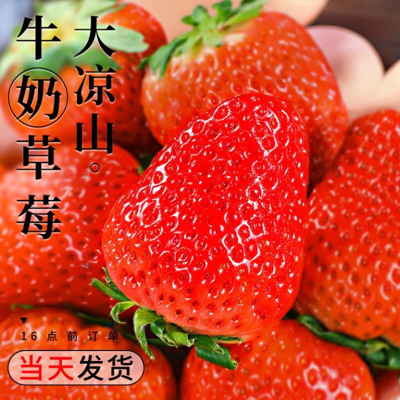 三萌果蔬99红颜草莓【JD/中通-多地次日达】奶油草莓四川新鲜水果礼盒送礼 2斤活动装【超值特惠-普快】净1.5斤 (优选果)单果8-15g