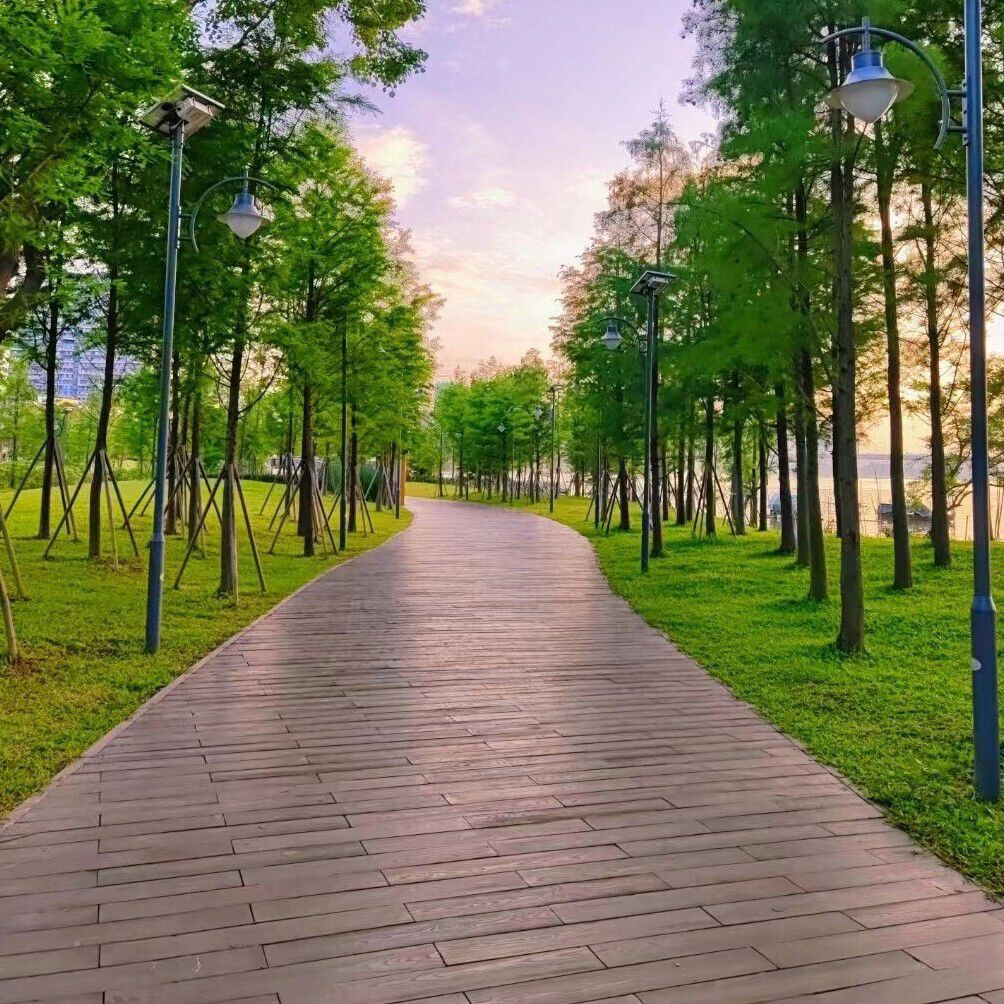 溥畔水泥仿木地板户外景区公园栈道板防滑钢筋混凝土仿木纹地砖 咖啡色尺寸：2000*150*60