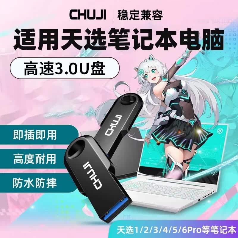储技优盘适用于天选笔记本u盘天选5Pro/1234/飞行堡垒/无畏大容量USB3.0存储 笔记本电脑专用U盘（USB3.0） 16GB 【笔记本电脑专用U盘】