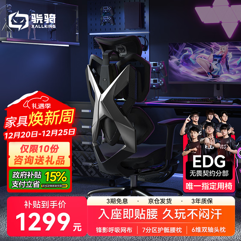 骁骑X5S电竞椅子人体工学椅国家补贴家用办公老板电脑椅卧室游戏椅