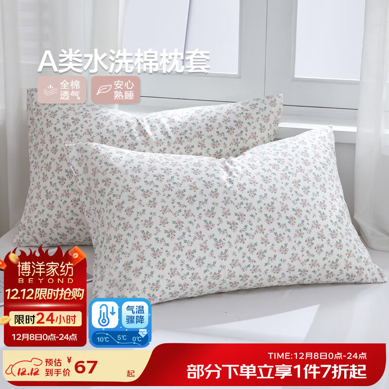 博洋（BEYOND）枕头套水洗棉枕套一对装家用48x74cm纯棉2025新款枕芯内胆套 A类水洗棉【明春可期】一对 48cm*74cm
