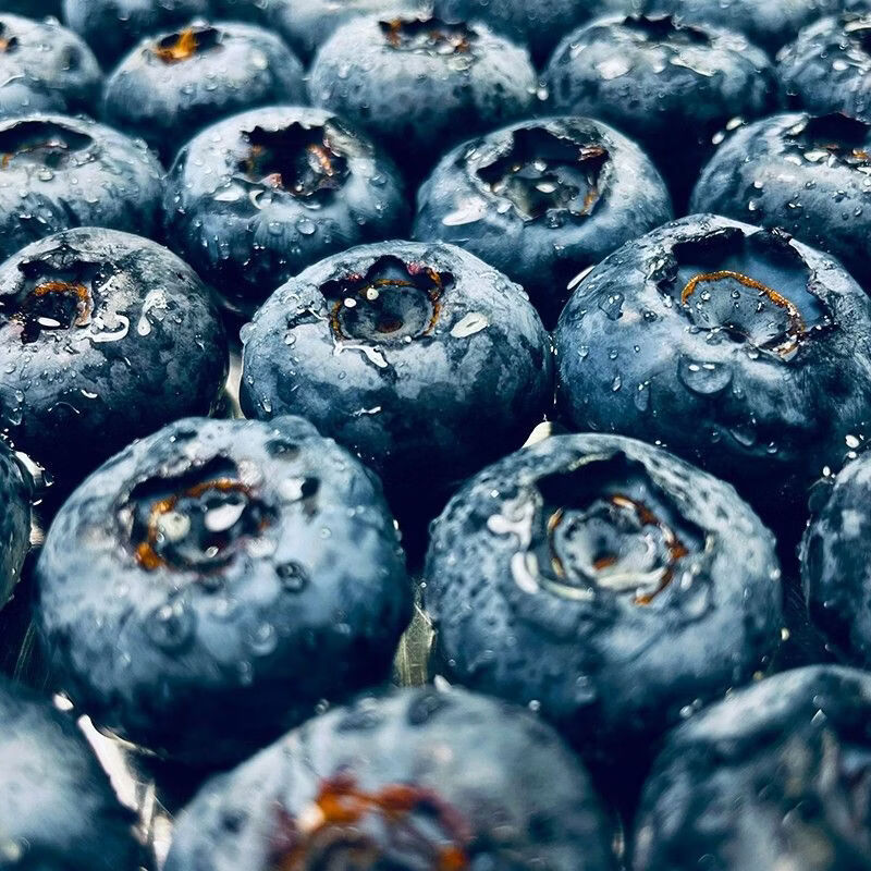 缦语【顺丰空运】云南花香蓝莓现摘鲜果新鲜18mm+孕妇礼盒装产地 1盒 60g【顺丰空运 保鲜发货 酸甜口味】 净重1000g 【果径18-22mm】泡沫箱装