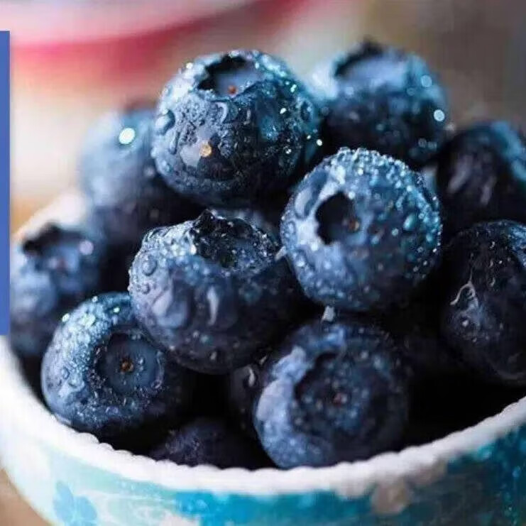 疆域采虹正宗云南高山蓝莓新鲜水果当季现摘大果当季孕妇酸甜口生鲜整箱 2盒 越多越划算【100-120g/盒】 尝鲜中小果【单果12mm+】口感偏淡