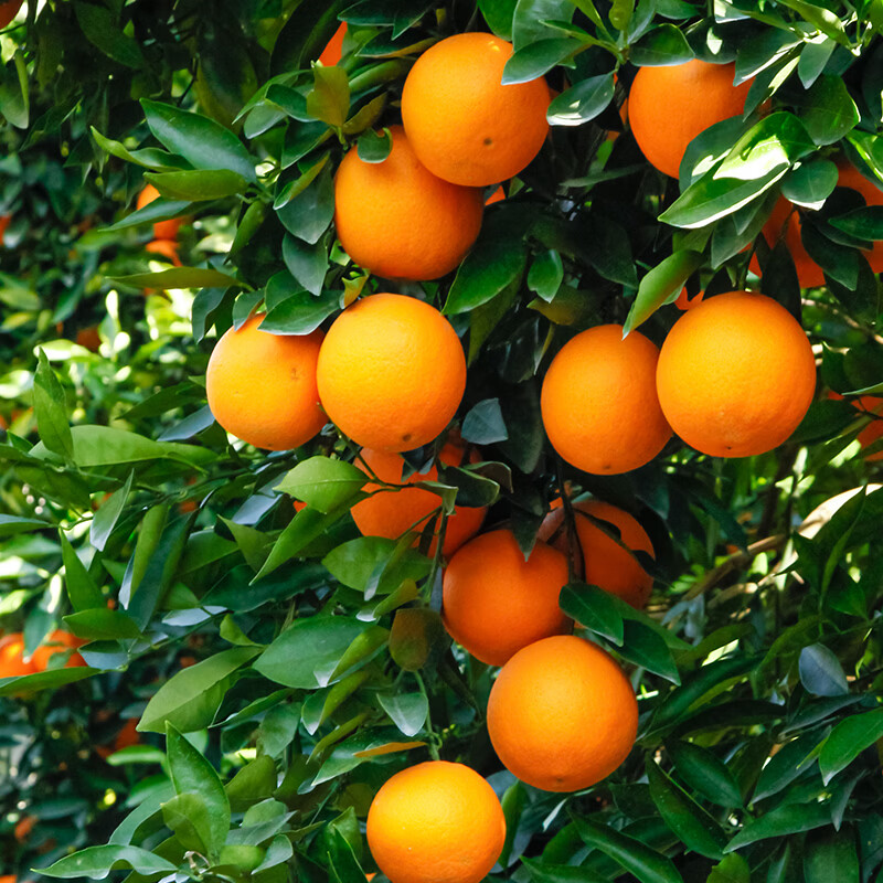 产品内部实拍图