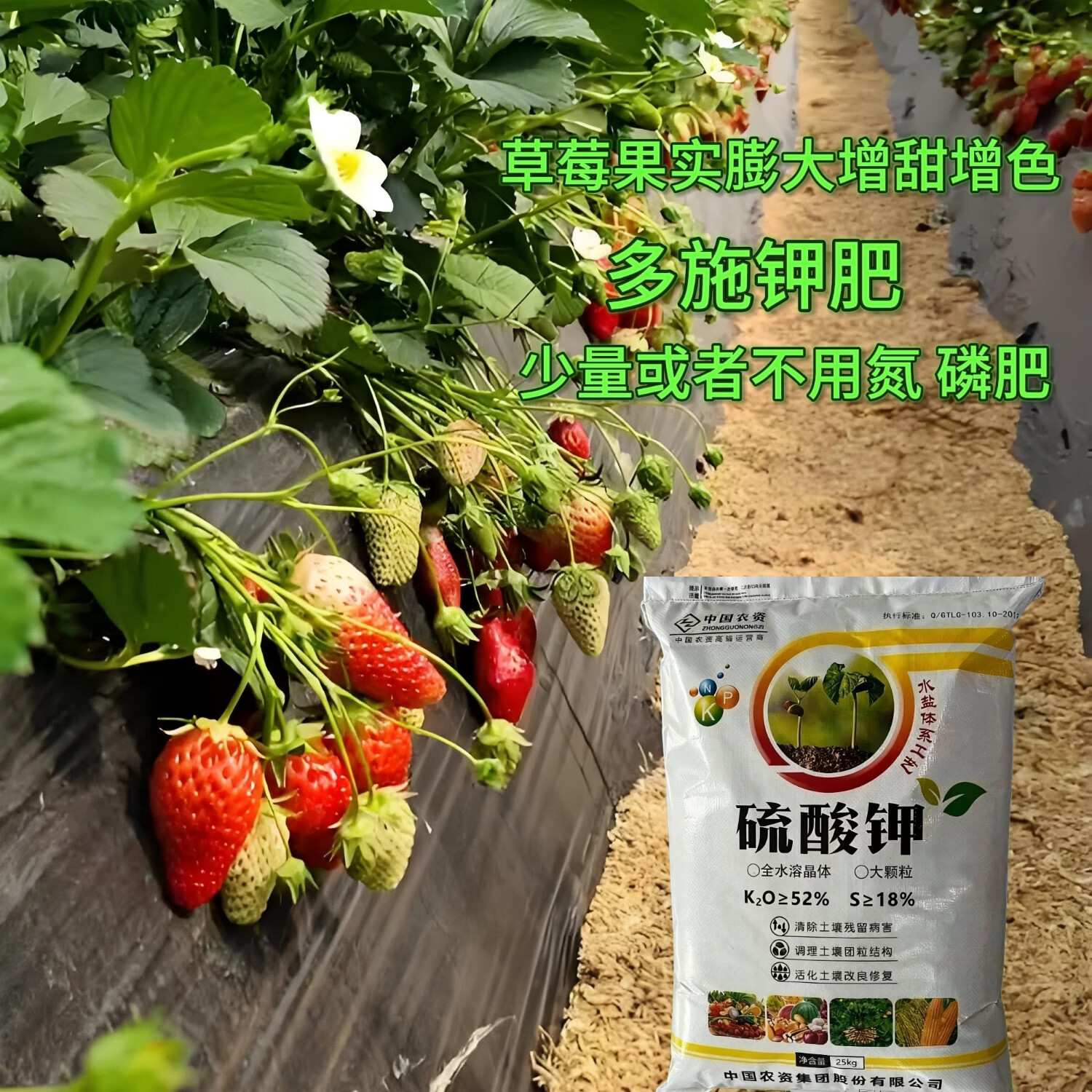 中国农资;SINO-AGRI5斤高端高钾高纯度硫酸钾好原料水溶肥营瓜果蔬菜草莓优惠中 高钾高纯度硫酸钾颗粒 5斤 分装 高钾高纯度钾肥花卉 农作物