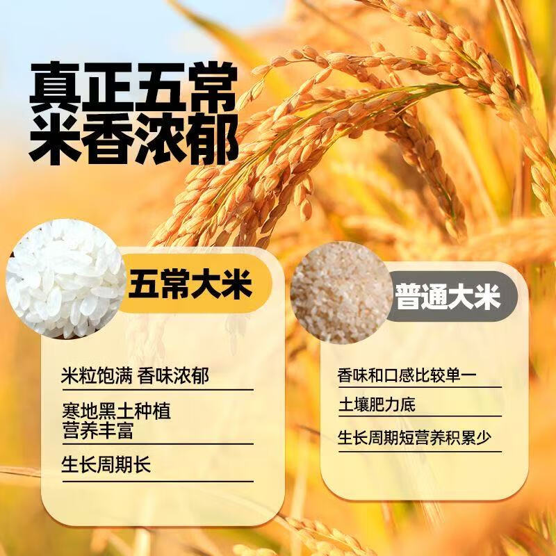 道台府2025年新米五常大米10斤黑龙江东北大米2.5kgGB/T 19266产地直发 正宗五常大米2.5kg*1袋