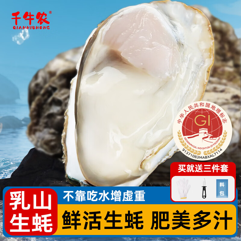 千牛农乳山生蚝4XL净重5斤 鲜活牡蛎 海蛎子 海鲜烧烤食材源头直发包邮 