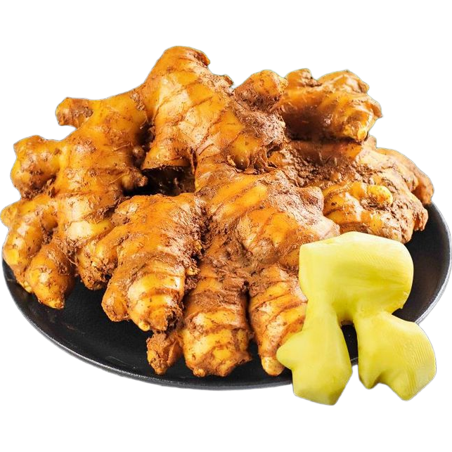 ��ɭ���� С�ƽ� ��ɽ���� �Ͻ� �����ﶬ��ʳ�� 3�� 8.9Ԫ(����ȯ)