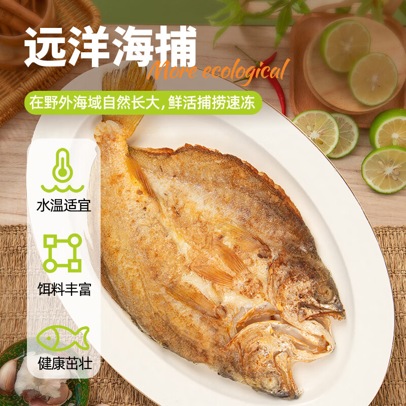 三都港背开三去黄花鱼宁德大黄鱼生鲜冷冻海鱼海鲜烧烤夜宵烹饪食材鱼类 已调味开背黄鱼3条(远洋捕捞非养殖)