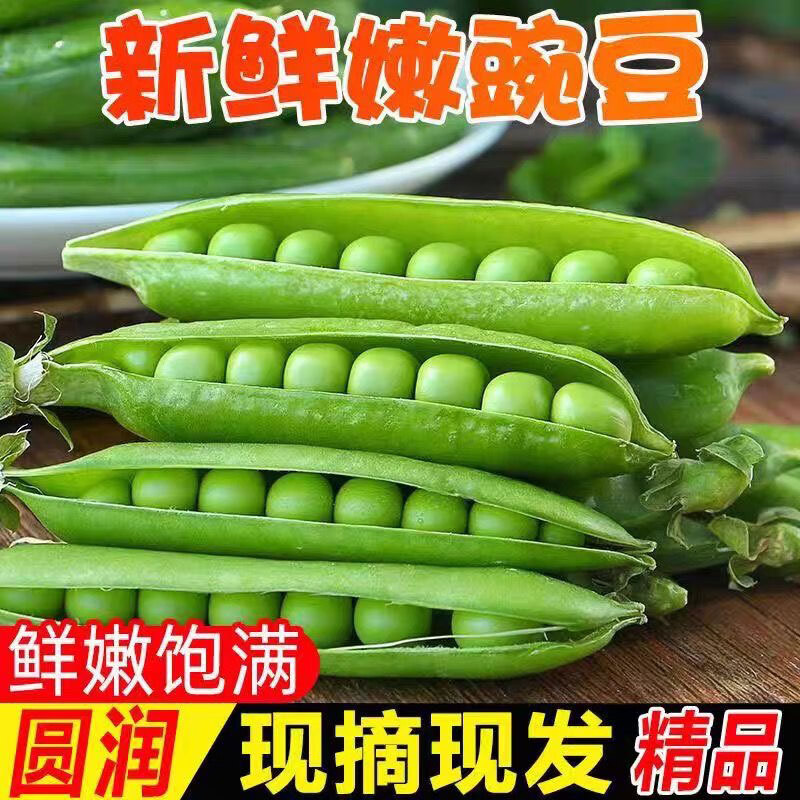 云南高原露天种植新鲜豌豆带壳青豆角脆甜水果豌豆荚现摘现发蔬菜 净重2.7斤【推荐装】