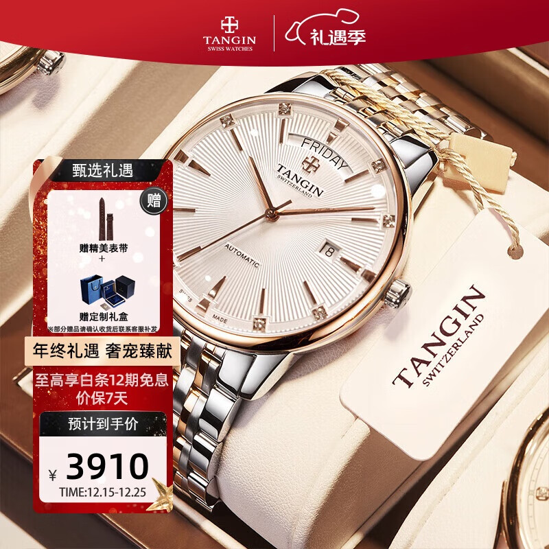 天珺（TANGIN）瑞士手表男 瑞士进口瑞表 全自动机械男表 圣诞礼物送男友