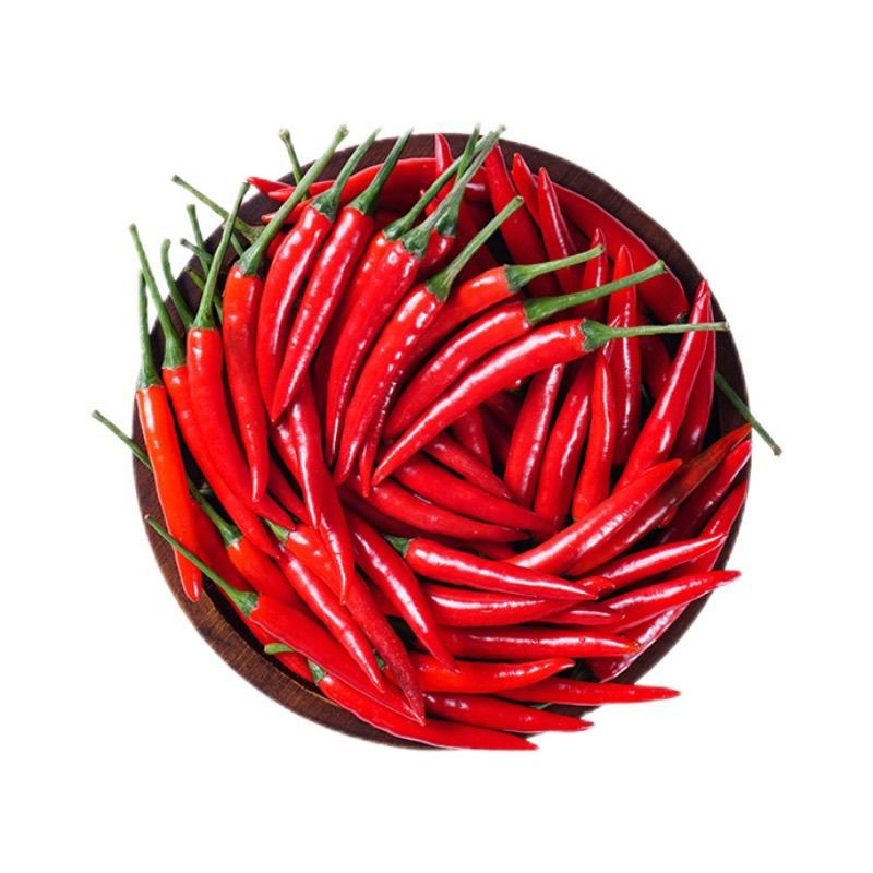 新鲜小米辣贵州特辣红辣椒辣椒小米鲜椒朝天椒魔鬼泡椒指天椒巨辣 新鲜现摘小米椒【现摘现发】 净重1斤