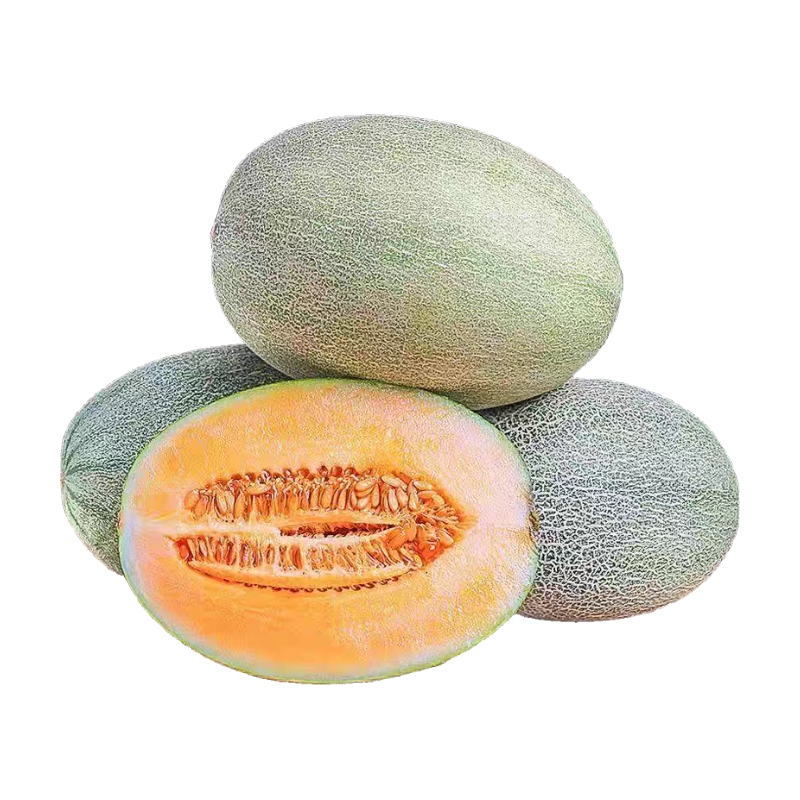 ޲Ʒ���� ���Ϲ��ܹ� ������25�� �����۹� ����4.5-5�� 16.9Ԫ(����ȯ)