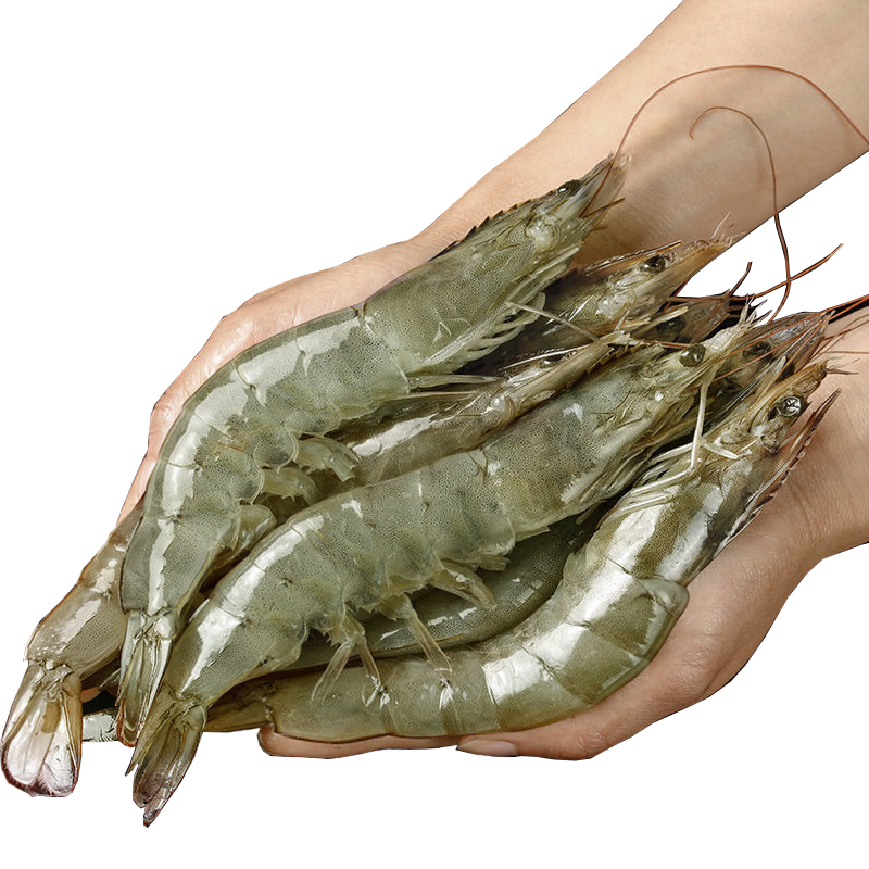 ���ڲ����������ش��϶����Ϻ ���ƻ�ΧϺ �ζ���Ϻ�����׶�Ϻ ����տ�ʳ�� �ش��18-21cm 4��(����)  124.9Ԫ