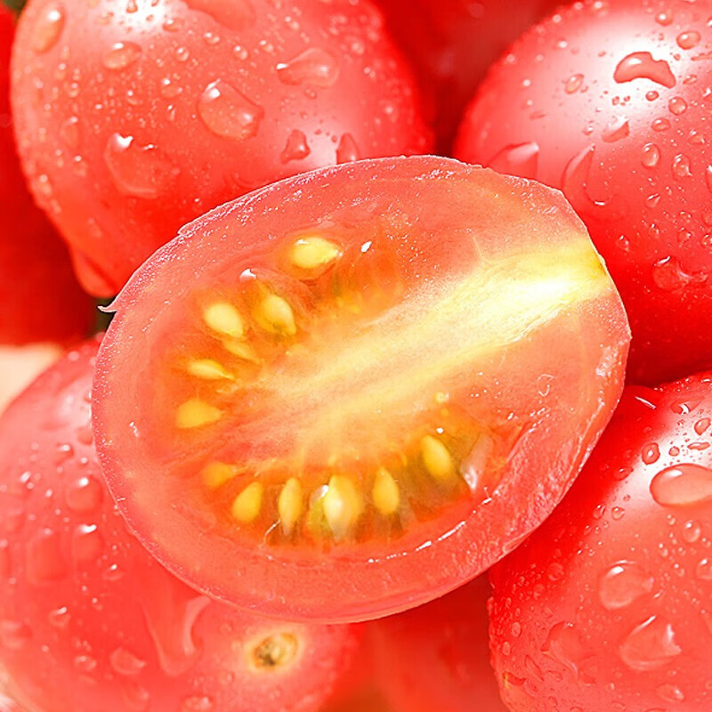 果食鲜丰正宗千禧小番茄圣女果小西红柿新鲜水果圣女果源头产地直发 千禧小番茄圣女果 5斤