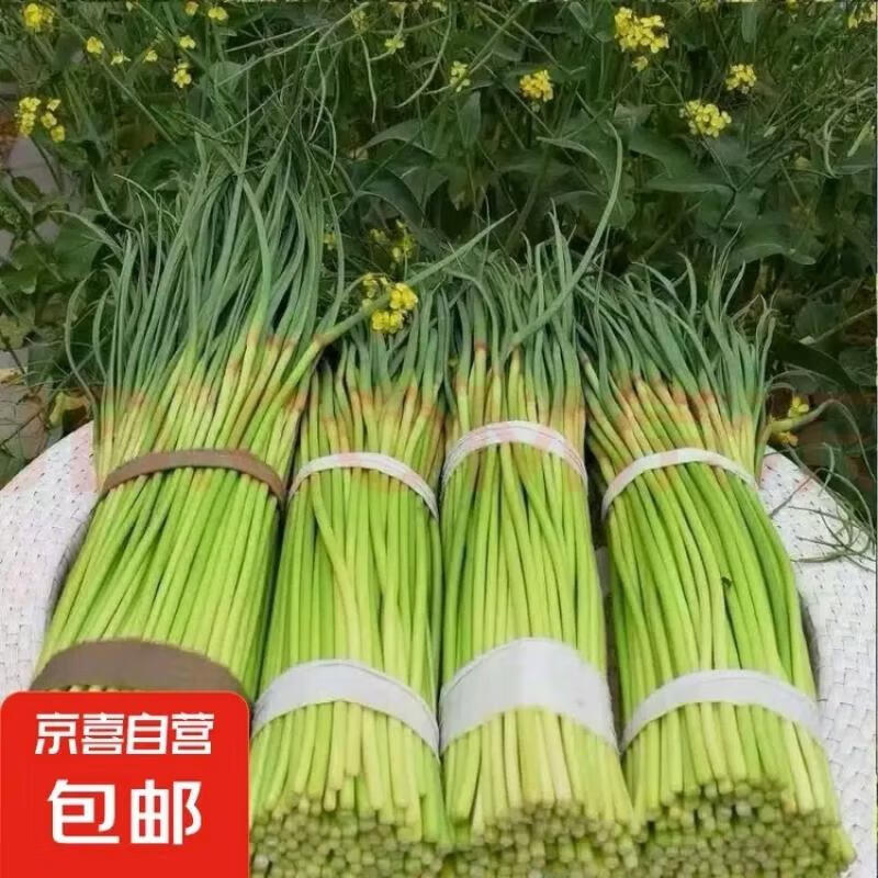 17����20����һ��һ�����ݺ�ñ��̦ ũ��СԺ 1�� ������ʱ����    6.9Ԫ(��һ��һ���3.45Ԫ/��)