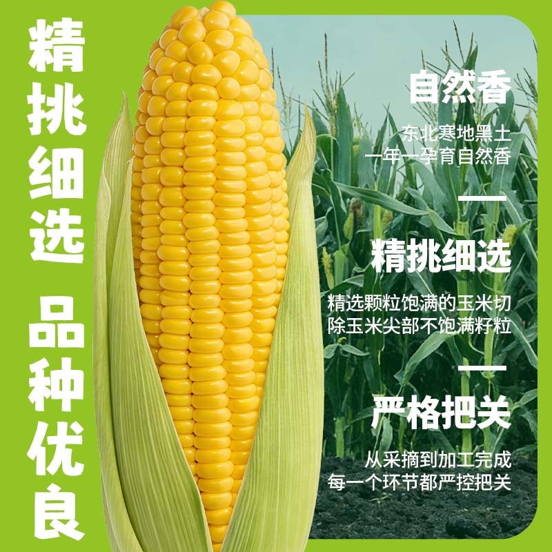 凉水滩鲜食玉米东北黑土大根黄玉米开袋即食可蒸煮炖汤真空锁鲜早餐代餐 黄糯玉米3.3斤约330g*5根