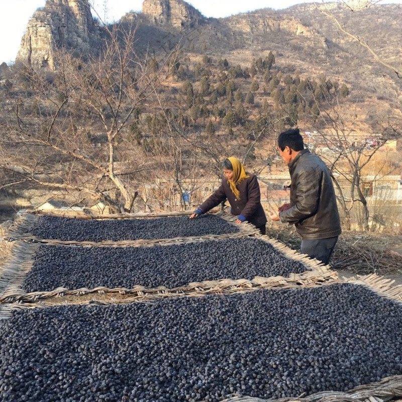 沂蒙量籽新鲜无核黑枣柿枣无核软枣黑枣小柿子黑枣圆枣 202g*1袋 沂蒙山特产店出品无干燥剂