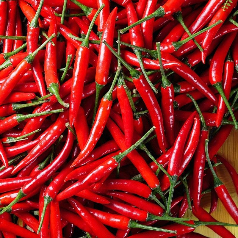 新鲜小米辣贵州特辣红辣椒辣椒小米鲜椒朝天椒魔鬼泡椒指天椒巨辣 新鲜现摘小米椒【现摘现发】 净重1斤