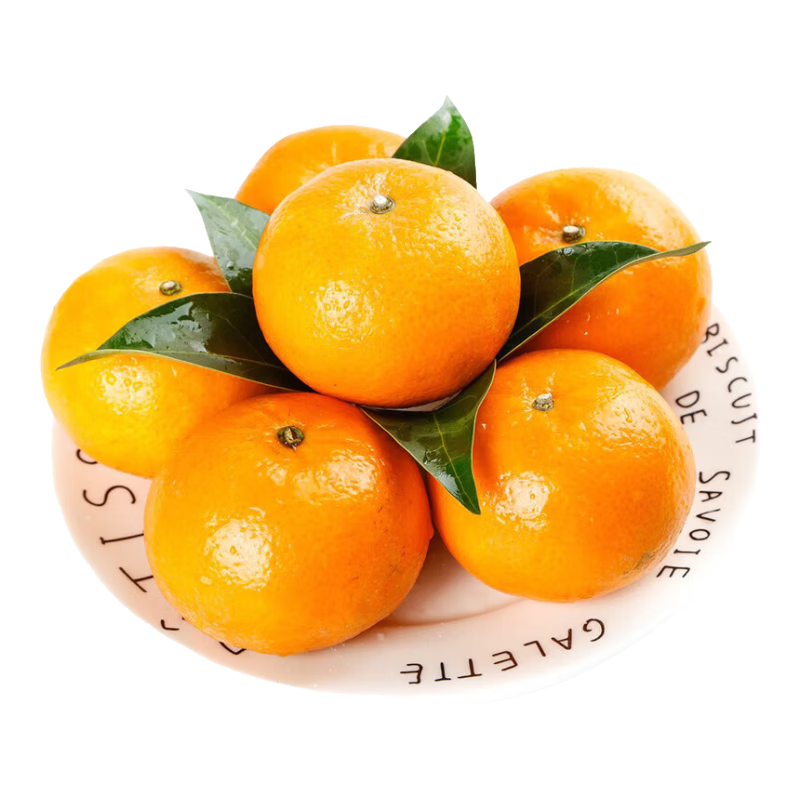 ���������ָ� ��������ˮ������ �����ʵ�ɳ������ ɰ�Ǹ��� ������� ����5�� ����65mm+ 10.9Ԫ(����ȯ)