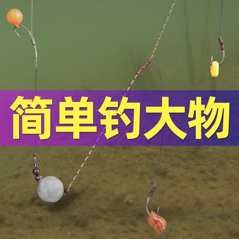 挺派(tingpai) 欧式鲤钩钓组反底钓法欧鲤浮球钩组反离底海竿抛杆垂钓