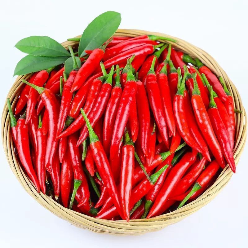 新鲜小米辣贵州特辣红辣椒辣椒小米鲜椒朝天椒魔鬼泡椒指天椒巨辣 新鲜现摘小米椒【现摘现发】 净重1斤