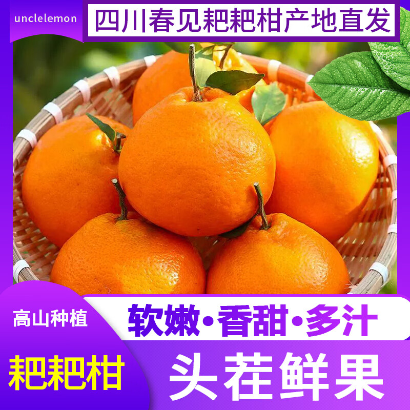 uncle lemon四川春见耙耙柑当季新鲜水果丑橘丑柑整箱高山种植产地现摘现发 9斤 大果【真心甜甜】新鲜现摘丨个头均匀