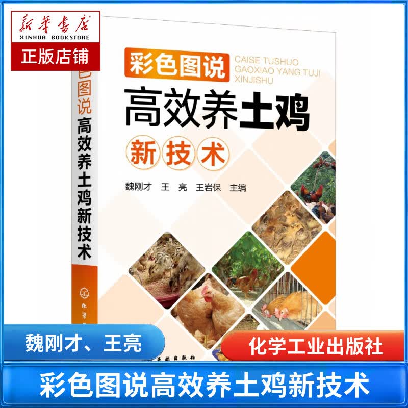 彩色图说高效养土鸡新技术