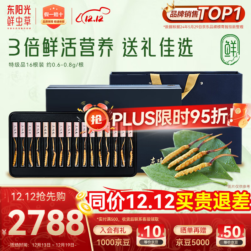 东阳光鲜虫草0.6-0.8g/根16根新鲜冬虫夏草补品送长辈老人源头直发包邮