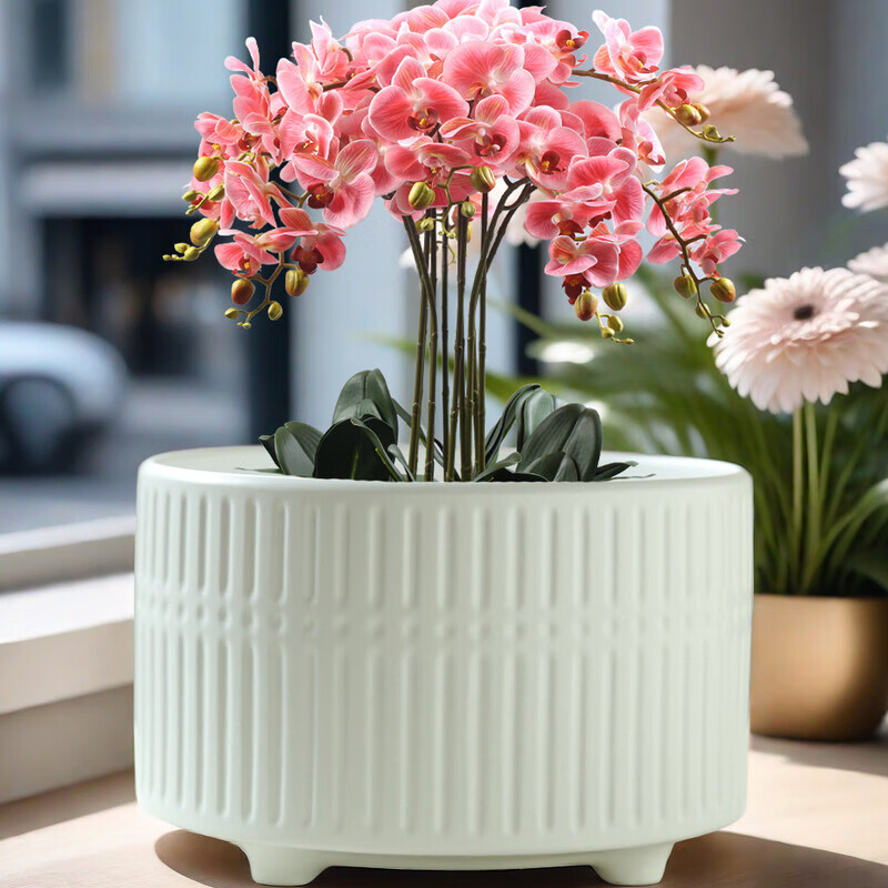 OYKTN批发陶瓷花盆欧式哑光带托盘蝴蝶兰专用盆发财树多肉花盆一件代发 四足大口径亚白-单个花盆无花