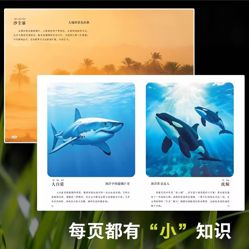 万物大视界自然百科全书儿童纸上纪录片一整本的高清大图 给孩子的视觉盛宴 少儿科普绘本百科全书课外小植物绘本漫画官方正版书籍 【加厚版】万物大视界自然百科（全彩印刷/超清大图）