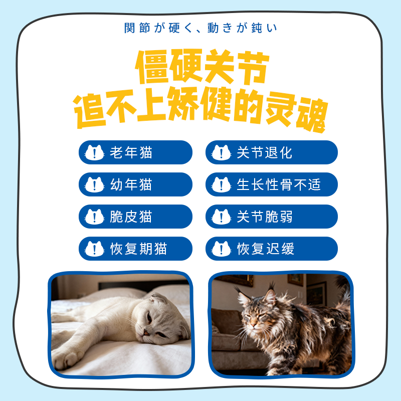DHC Kitty&Doggy猫咪鲨鱼软骨素粉宠物营养补充剂骨骼关节修复补钙健骨 【呵护关节丨约60天】 50g*1袋