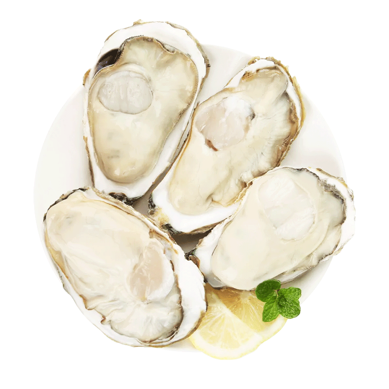 ���ڲ�����ǧţũ��ɽ���5XL����5�� �ʻ�ĵ�� ������ �����տ�ʳ��Դͷֱ������  58.9Ԫ