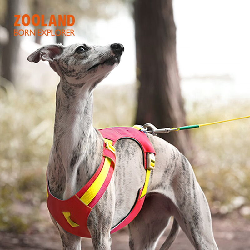 OIMG狗狗胸背牵引绳子遛幼小中大型犬泰迪柯基比熊边牧博美用 西瓜粉【胸背】 XXS码(胸围32-40CM)建议4-8斤