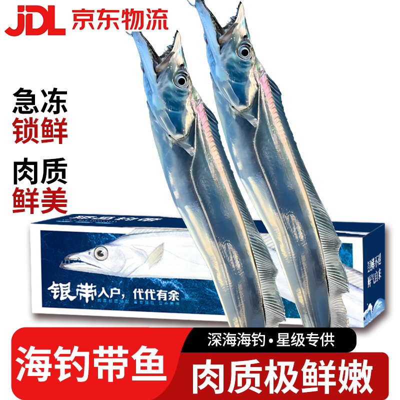 滩礼家 带鱼 特级带鱼特大号整条鲜带鱼海钓刀鱼整箱年货海鲜礼盒 5斤装（1-1.5斤/条）净重