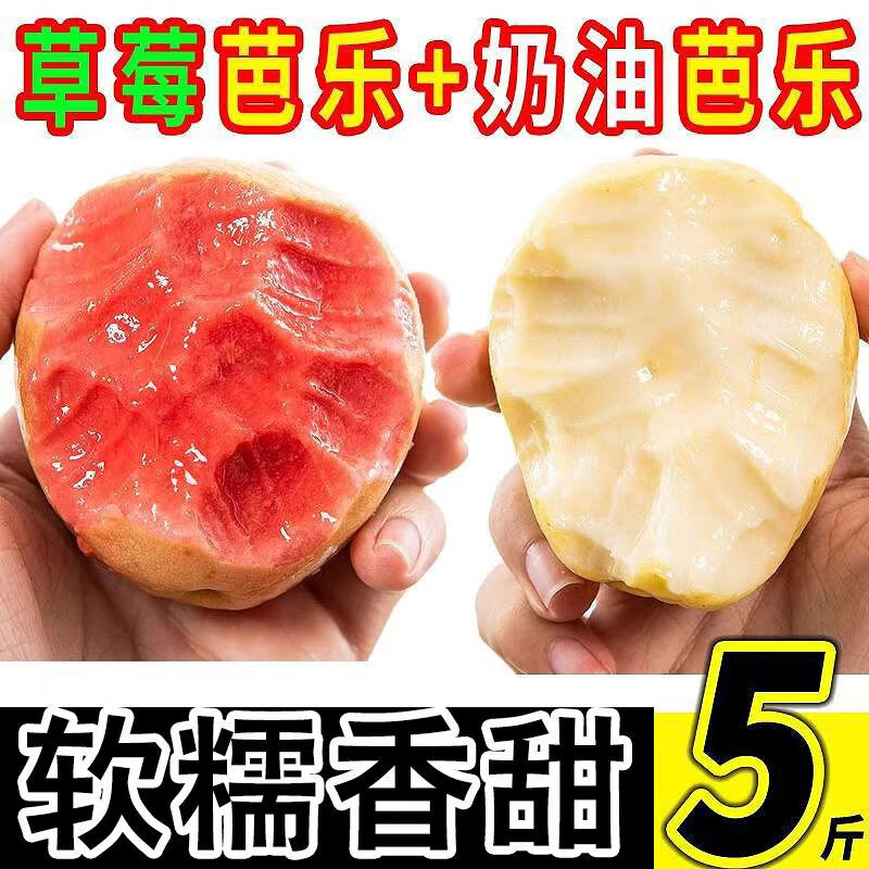 红白混搭装广西产地番石榴芭乐软心糯香甜新鲜现摘发【红心偏小】 白心芭乐1斤试吃装（贵在运费）