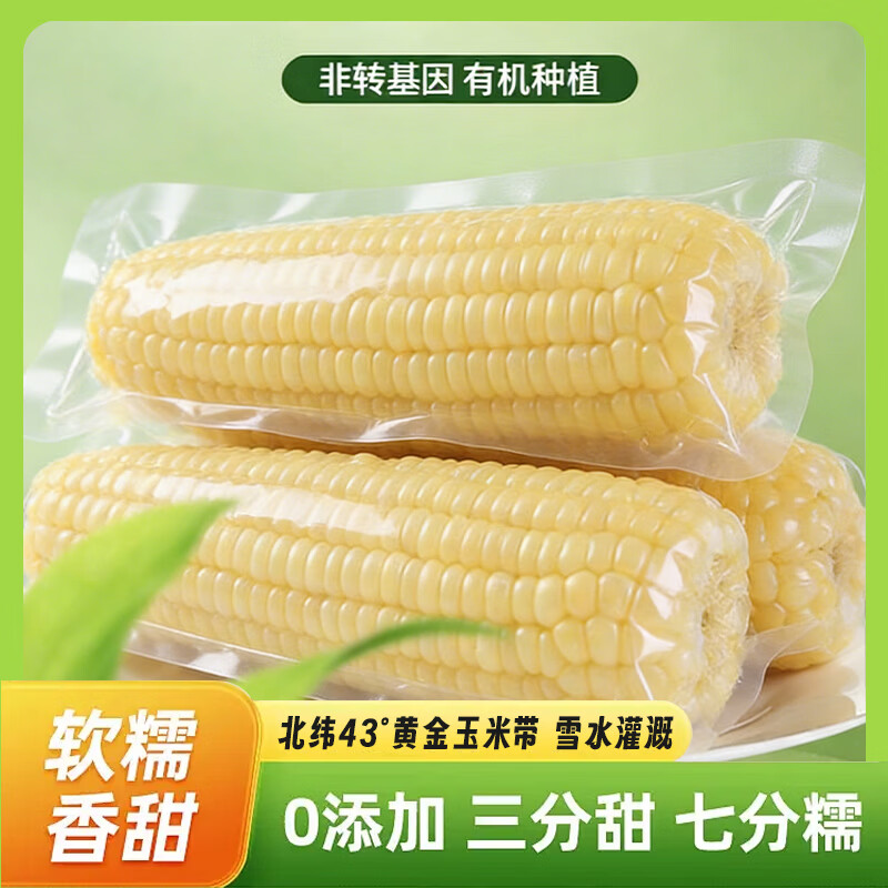 新疆白糯玉米 早餐代餐 单穗大克重 真空锁鲜软糯香甜 【精选玉米】10根/箱