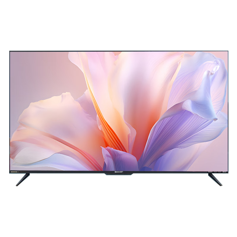 ���� XT-Lite 55Ӣ�� ���� 4T-C55GK5000A 