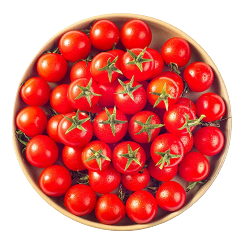 ������� ǧ����С���� ��������ʥŮ�� ����4�� 13Ԫ