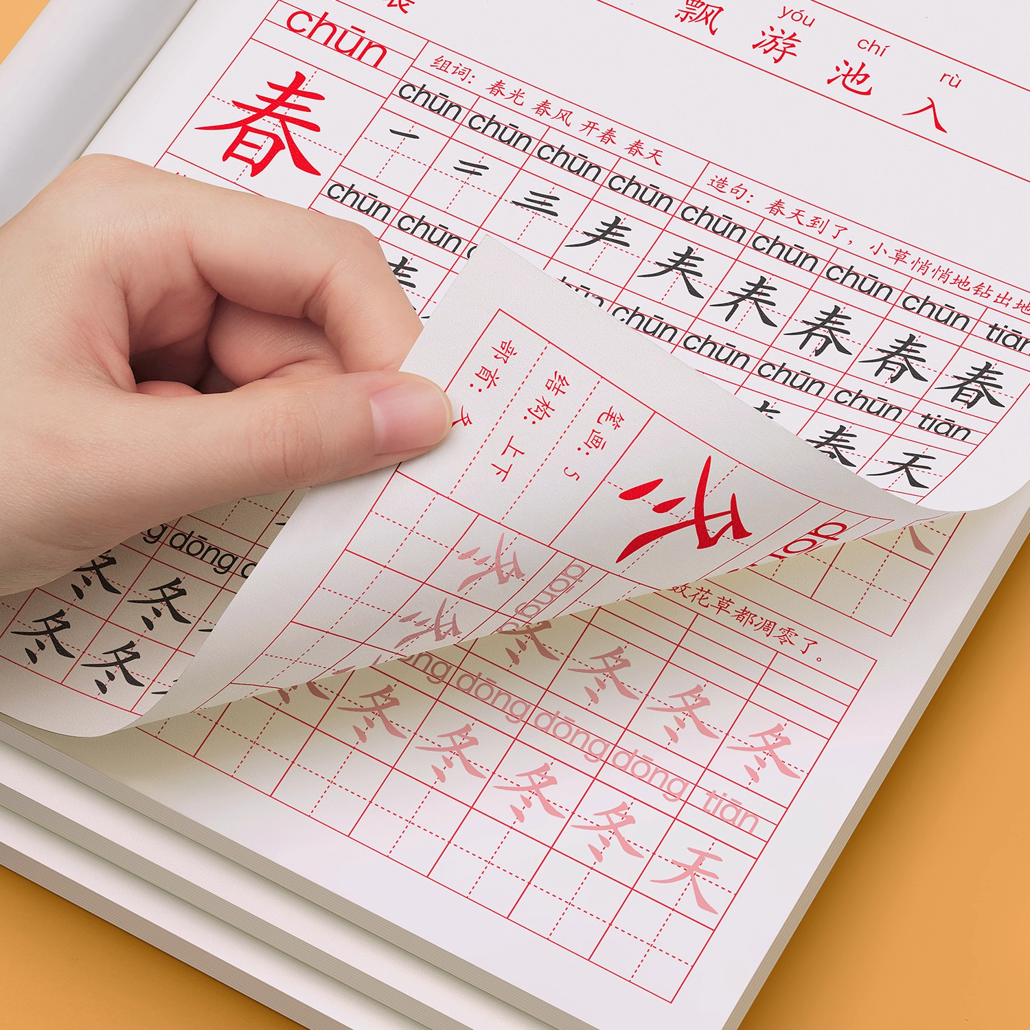 金枝叶一年级练字字帖小学生专用练字帖上册下册语文同步描红本人教版每日一练儿童楷书笔画笔顺练习册 【一年级上册】语文同步字帖