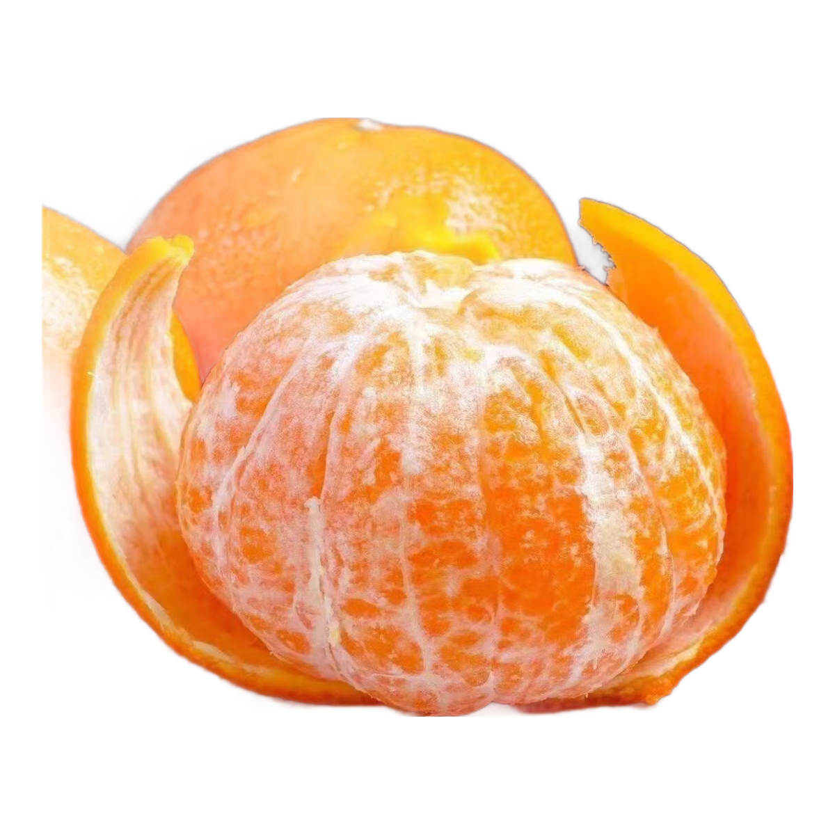 ���������ָ� 2�� 2.24Ԫ(����ȯ)