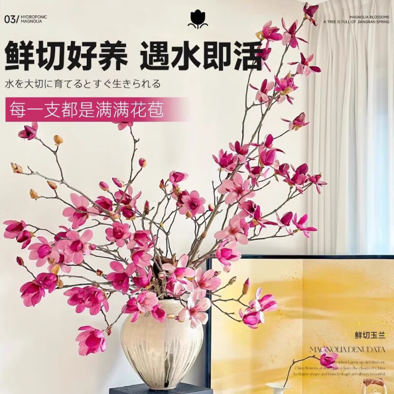 两草三花水培玉兰鲜切花枝带花苞家用水养鲜花卉干枝室内好养耐寒植物盆栽 粉玉兰枝条水培+营养液 50cm3枝